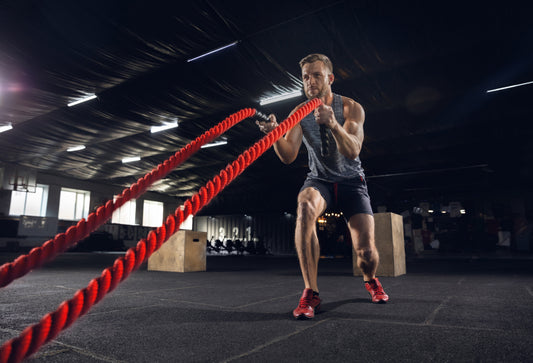 Bandes de Résistance vs Poids Libres : Quel Équipement Choisir pour Votre Home Gym ?